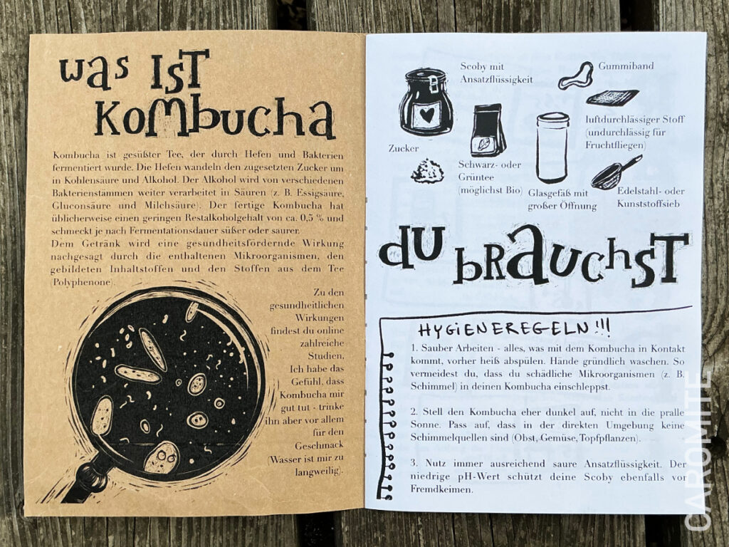 Kombucha Zine Seiten 2 und 3: Was ist Kombucha und Du brauchst 